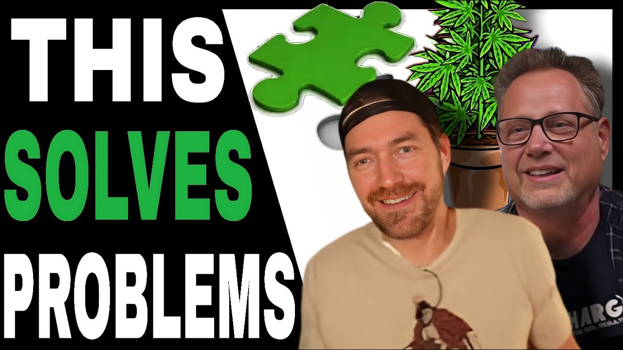 Fix These Common Nutrient Deficiencies in Cannabis to Keep Your Plants Thriving