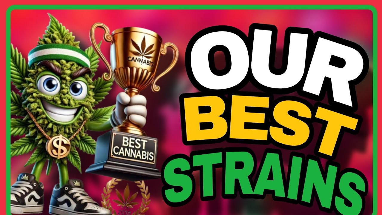 Top Cannabis Flavors of 2024: DGC’s Ultimate Picks