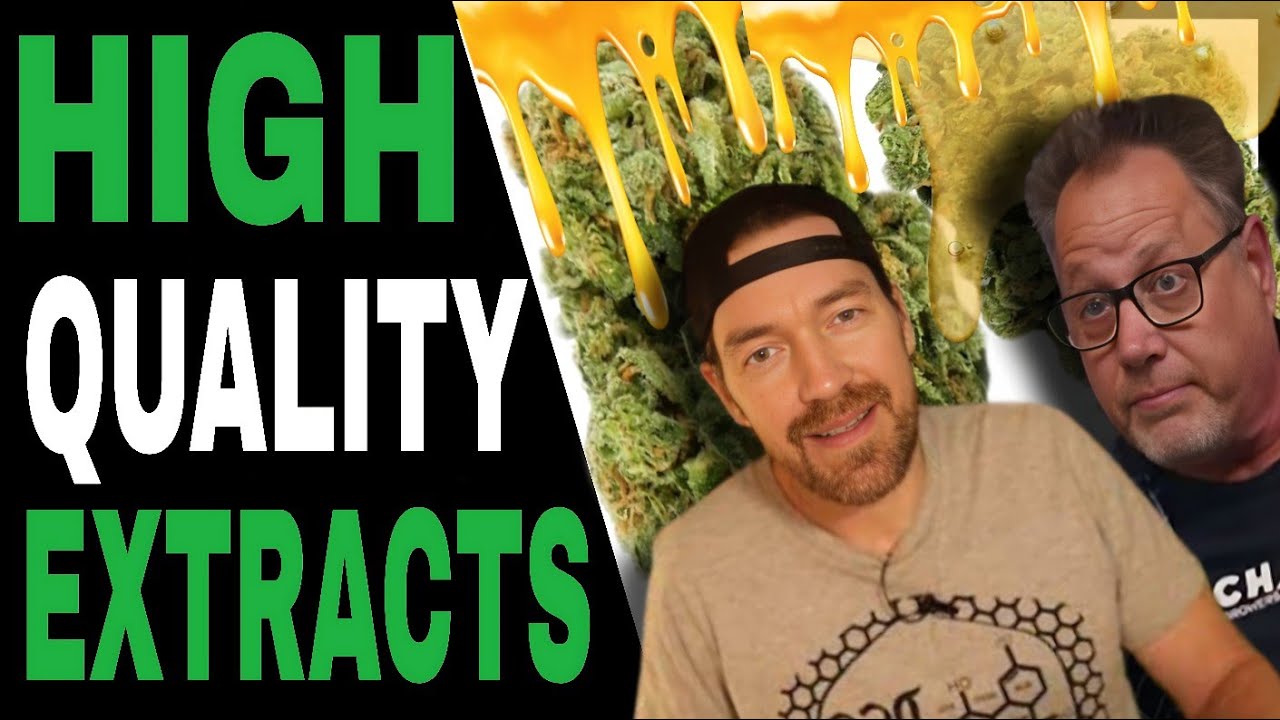 Harvest Your Cannabis for Extracts Like THIS for the Best Extracts