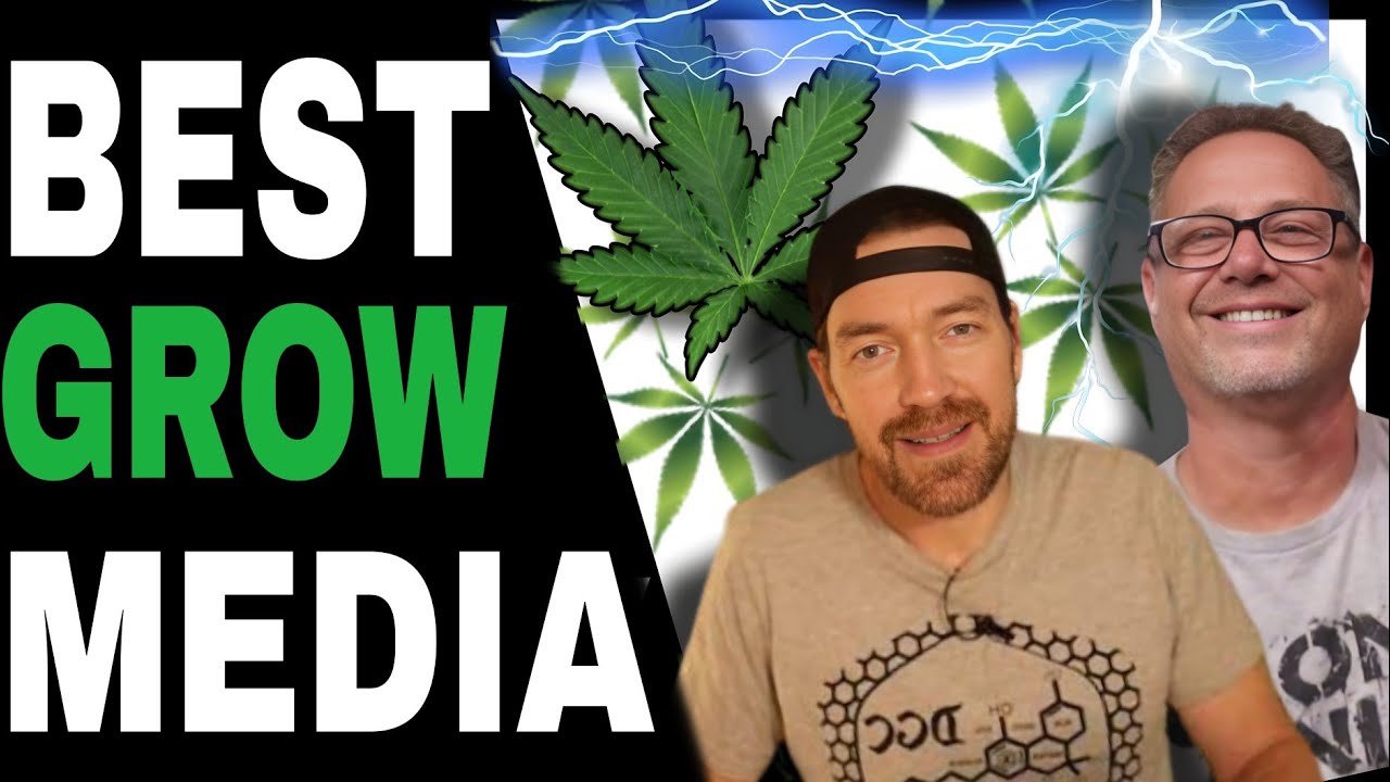 The Best Cannabis Growers Know THIS About Soil and Grow Media