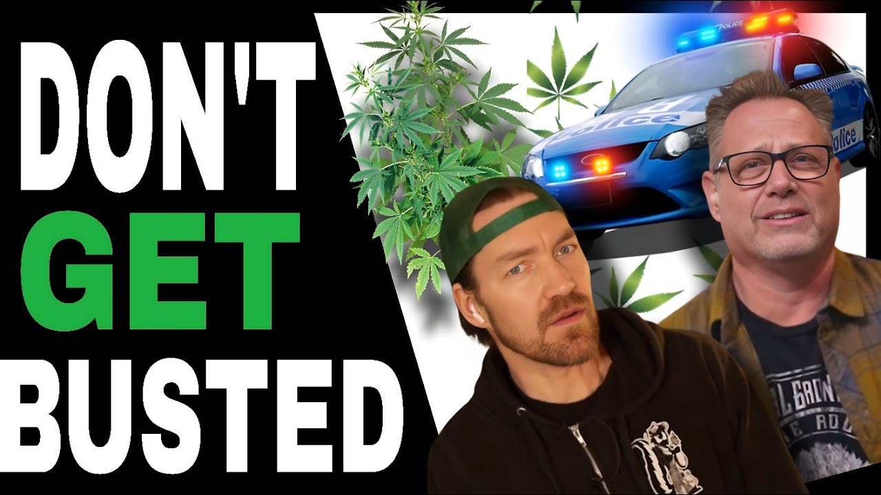 Avoid these mistakes when growing cannabis in prohibition land