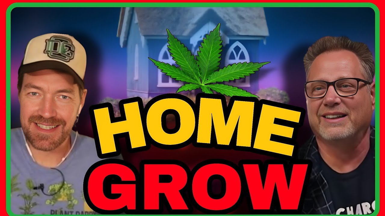 Don’t Set Up Your Cannabis Home Grow Until You Know About THIS