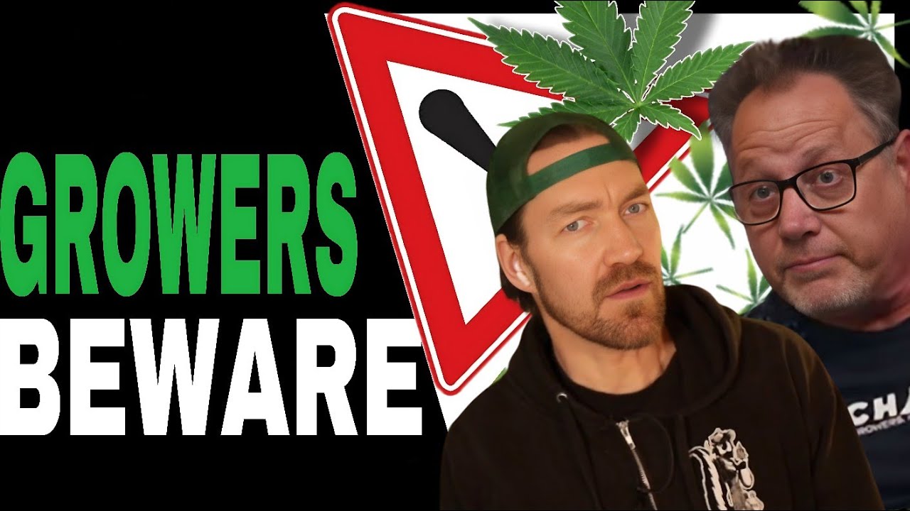 Changing Cannabis Laws and What Growers NEED to Know