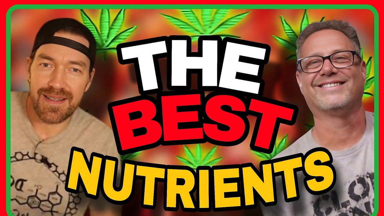 Pro Cannabis Growers Use THIS Blend of Organic and Synthetic Nutrients for the BEST Results