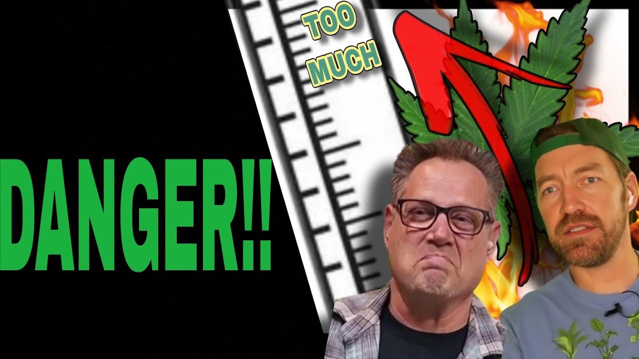 Cannabis Potency Reaching Dangerous Levels… Here’s What You Need to Know