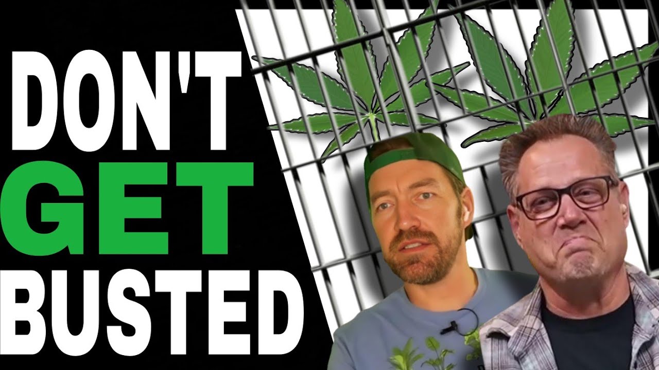 SHOCKING New Cannabis DUI Laws You Need to Know About