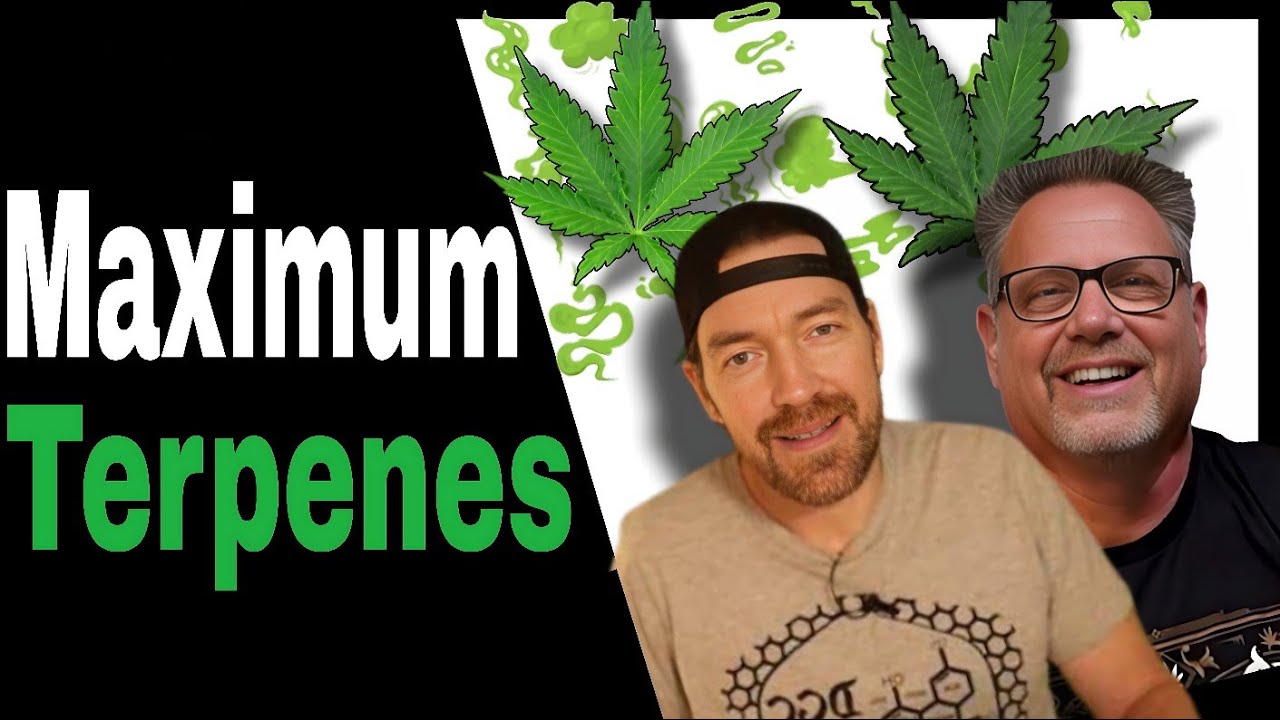 Store Your Cannabis Like THIS to Keep it Fresh and Frosty