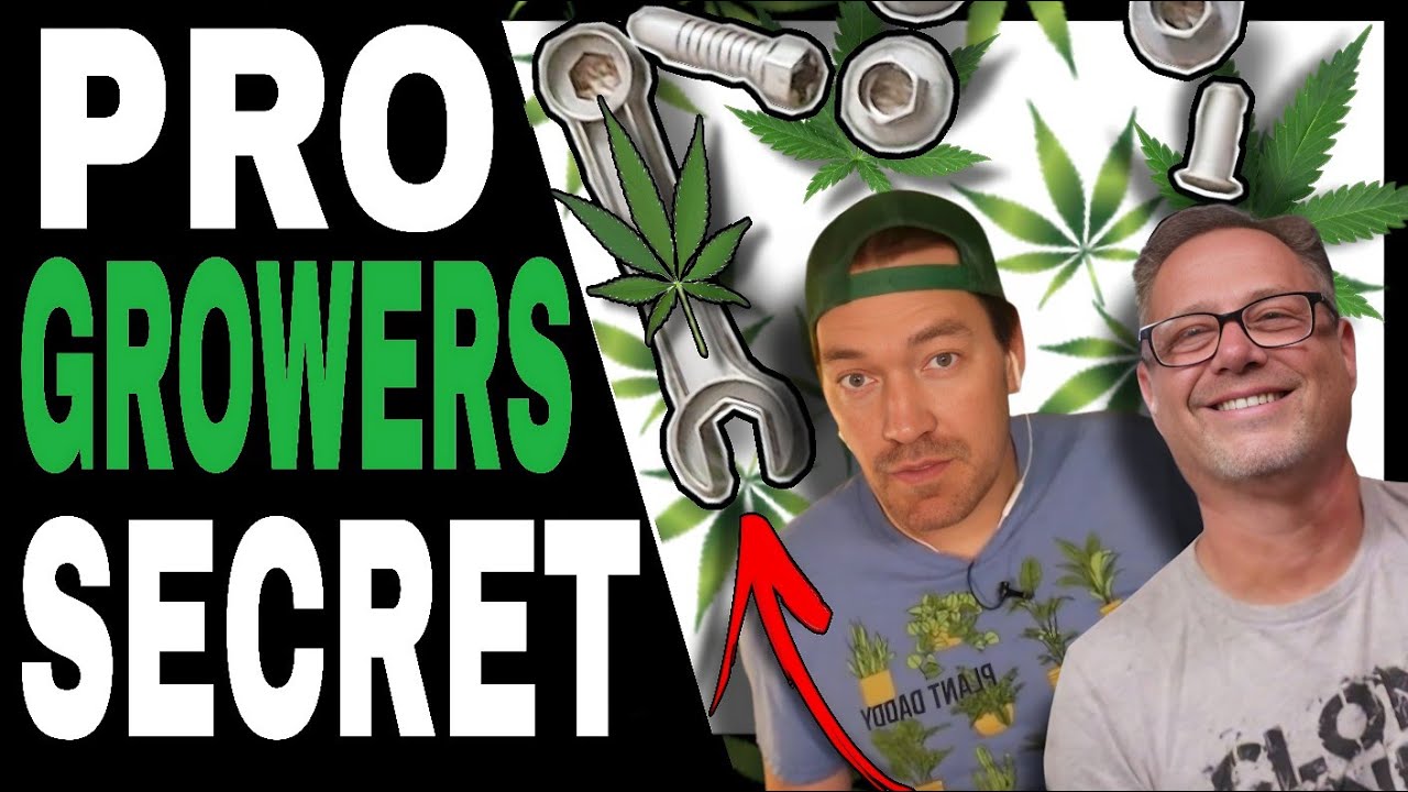 Fix Your Cannabis Plants FAST with This Weird Feeding Technique