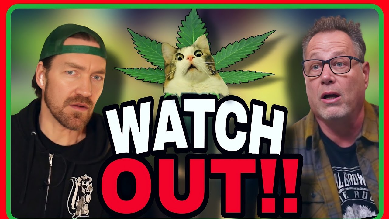 Cannabis Genetics Expert Reveals the Dangers of Getting Clones in the Mail