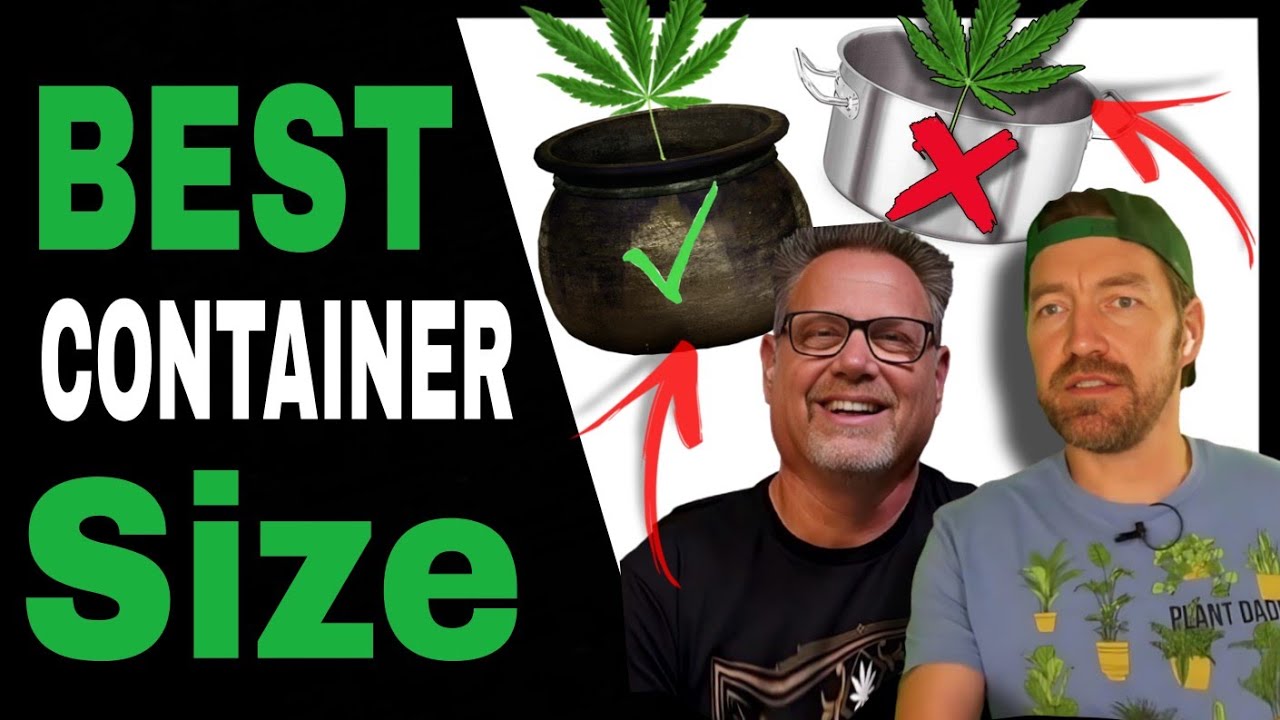 Picking the Perfect Container Size for Your Cannabis Grow