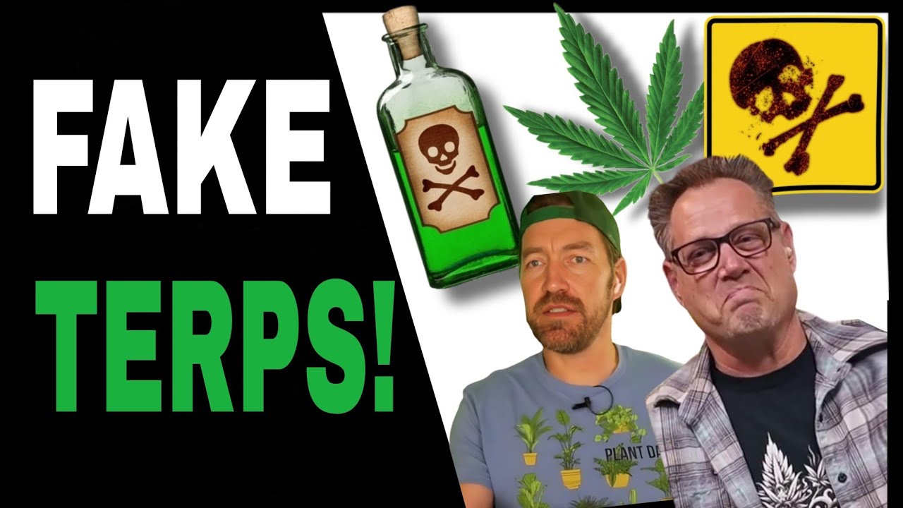 Dirty Secrets The Extract Industry Doesn’t Want You to Know