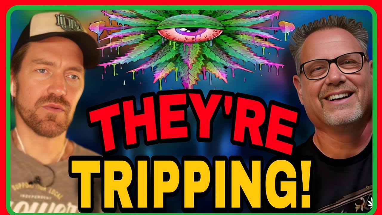 The Rise of Psychedelics: Are Mushrooms the New Cannabis?