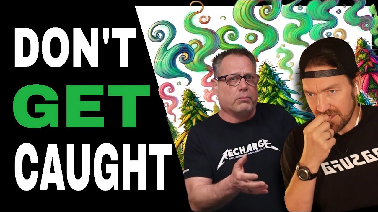 Stop the Stink Without Damaging Your Cannabis Plants