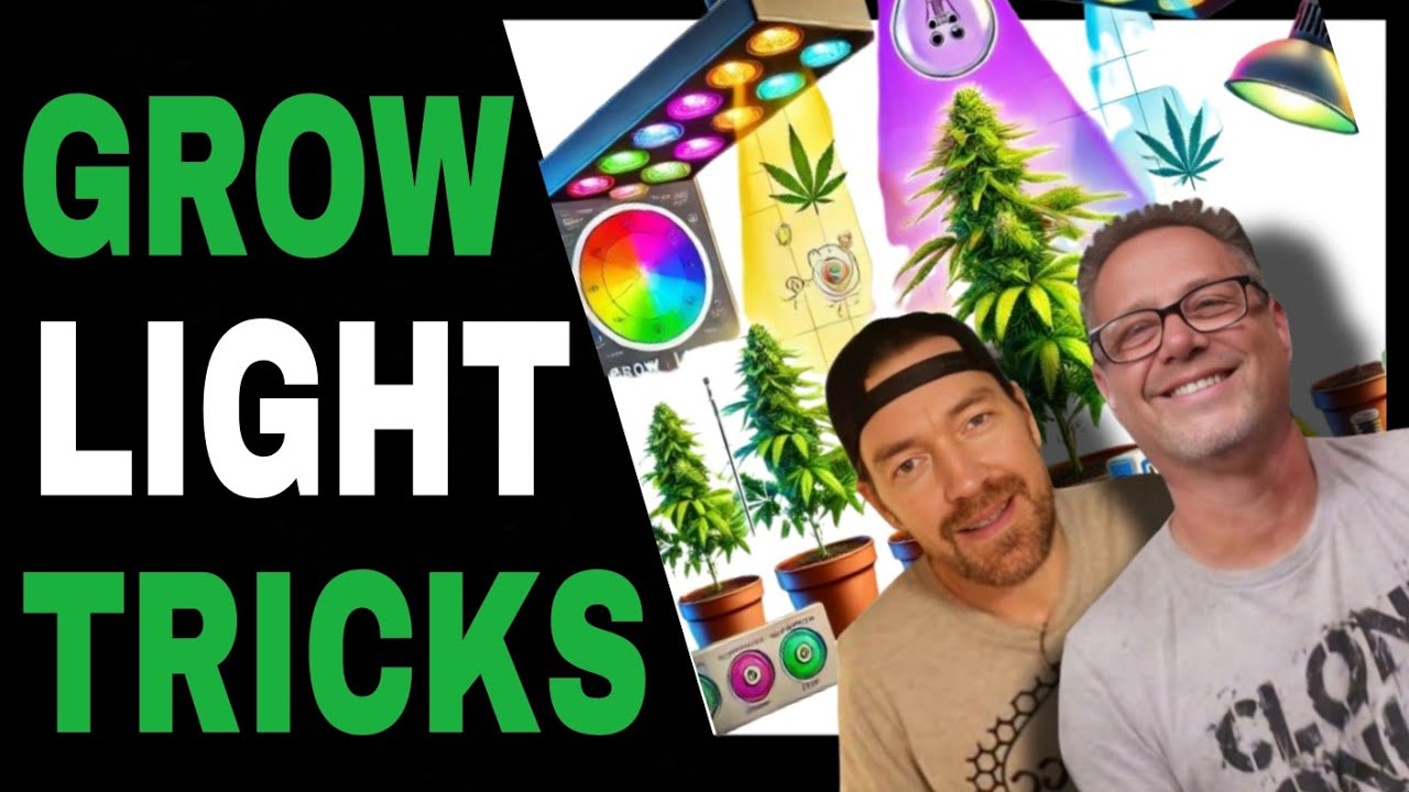 Strange Grow Light Hacks You Haven’t Heard About