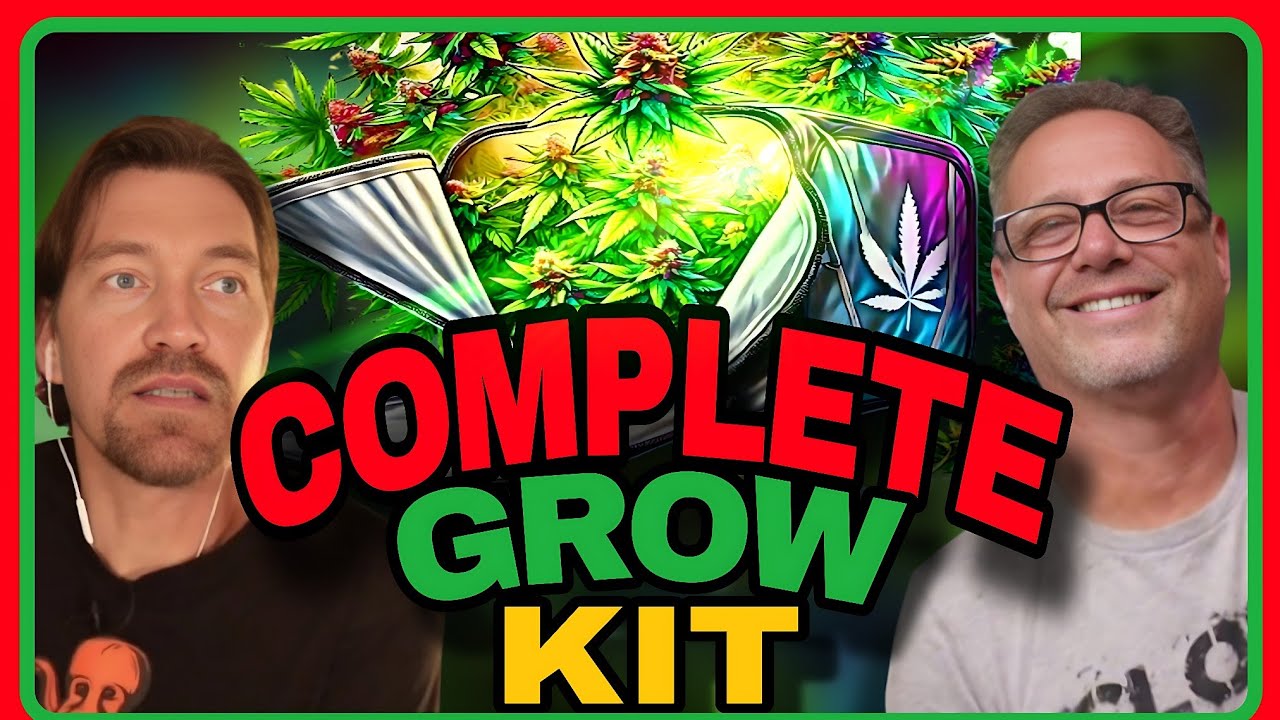 Get This Complete Cannabis Grow Setup: Costs Less than Your Christmas Bonus