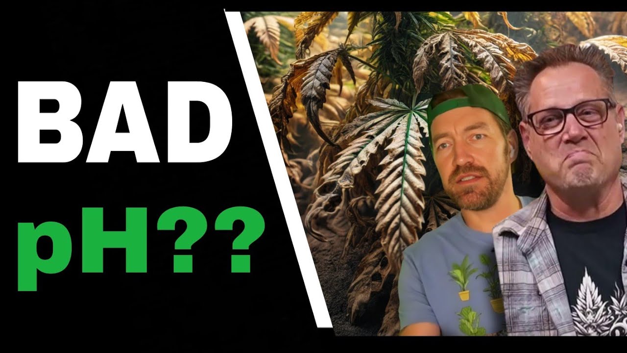 Fix Bad pH Levels and Boost Cannabis Growth with THIS Simple Trick