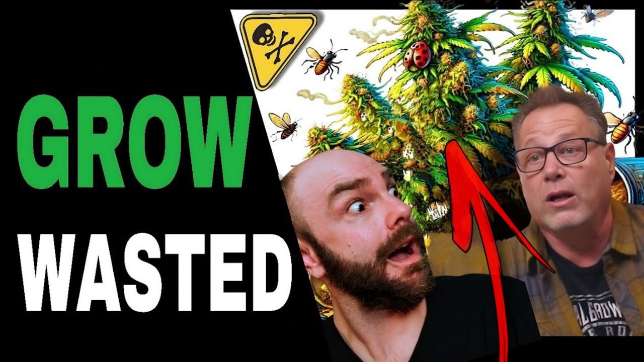 Don’t Make THESE 3 Common Cannabis Growing Mistakes