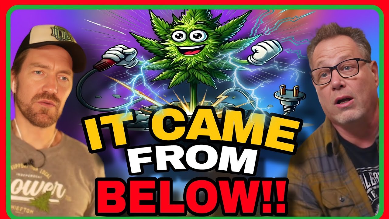 The PPFD Hack/Lighting Trick Every Cannabis Grower May Need to Use Soon