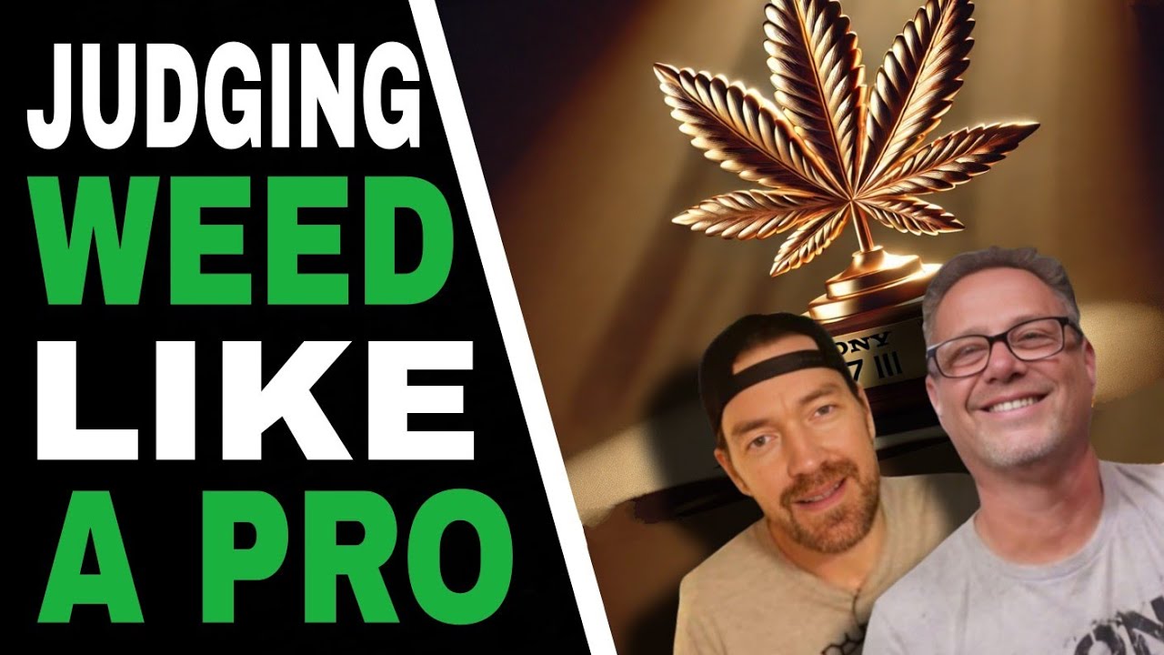What Makes Cannabis GREAT? Judging Tips You Need!