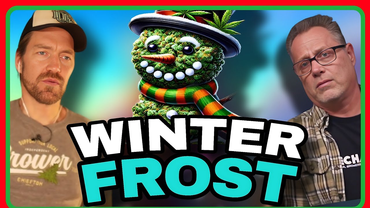 Keep Your Cannabis Plants Growing Strong All Winter with These Pro Grower Tips