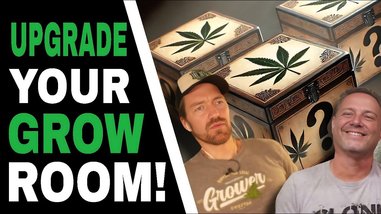 3 Essential Gadgets for Better Cannabis Growing