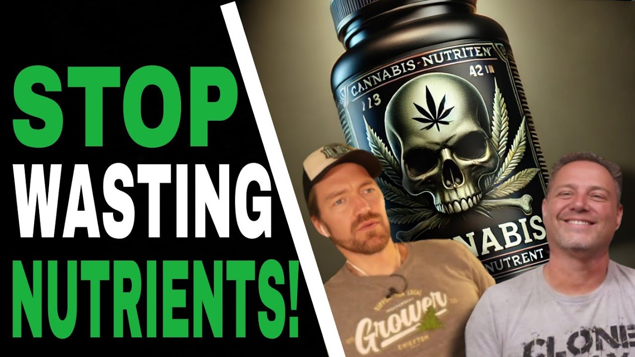 The Truth About Cannabis Nutrients You NEED to Know
