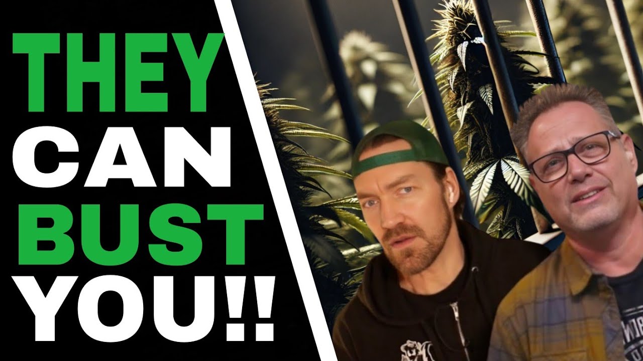 They Can STILL Arrest You for Cannabis – Here’s How to Stay Safe