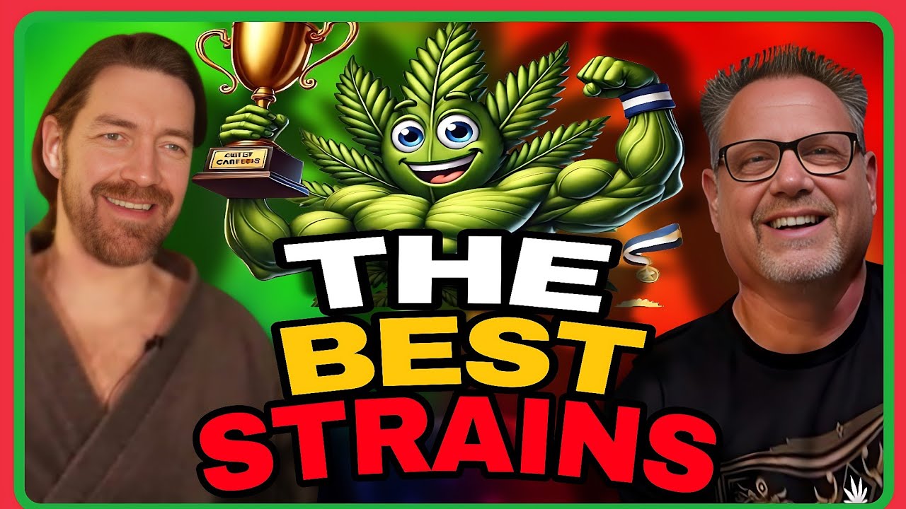 The Best Cannabis Strains: Were the Classics Superior to Our Hybrids?