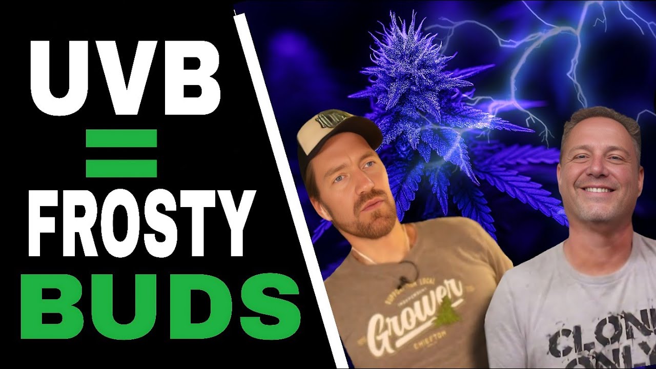 Don’t Rely on Your LED Until You Know THIS About UV-B