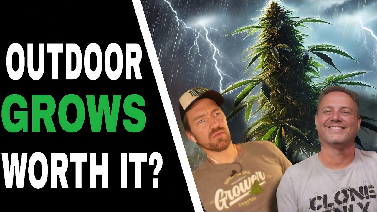 Outdoor Growing: The Pros, The Cons & The Must-Know Tips!