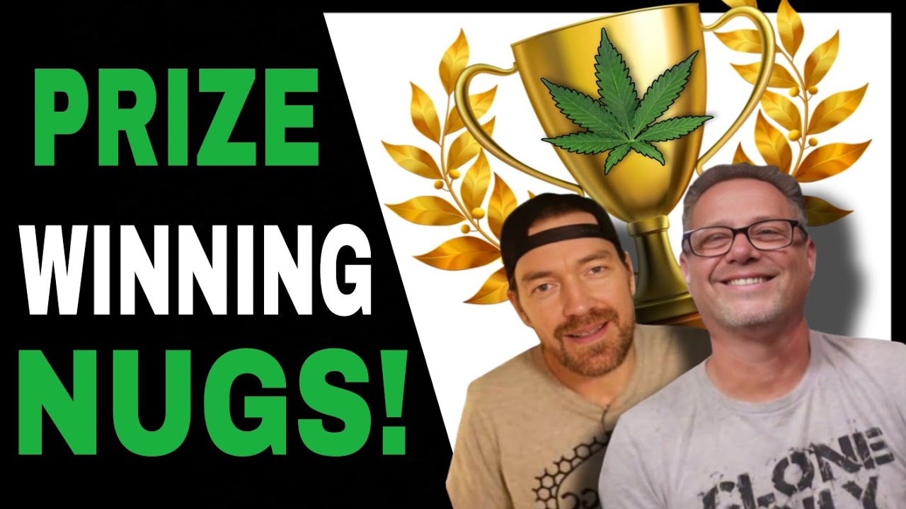 What You Need to Know Before Entering Your Next Cannabis Cup