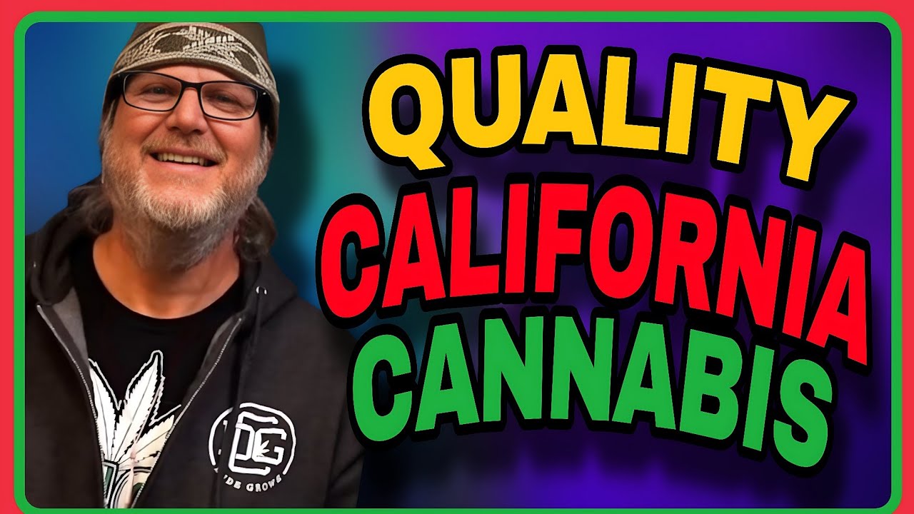 Know Your Breeder: Mr D of Happy Dreams Genetics