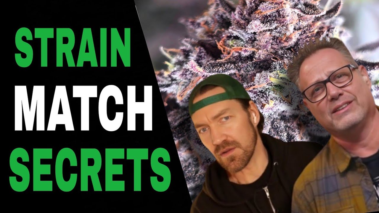 Cannabis Grower Pro Tips for Picking the Perfect Strain