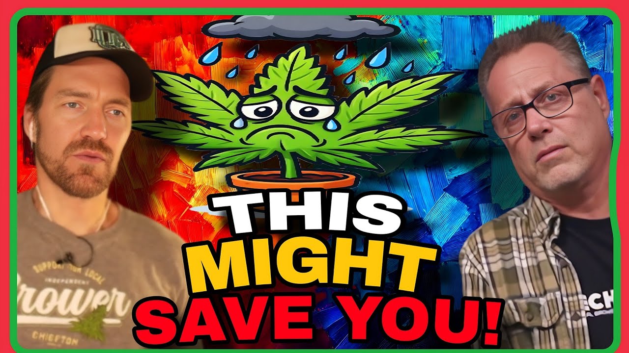 What NOT to Do When Growing Cannabis: Our Hard Lessons Learned