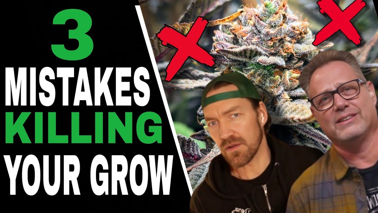 New Growers ALWAYS Mess This Up—Don’t Be One of Them