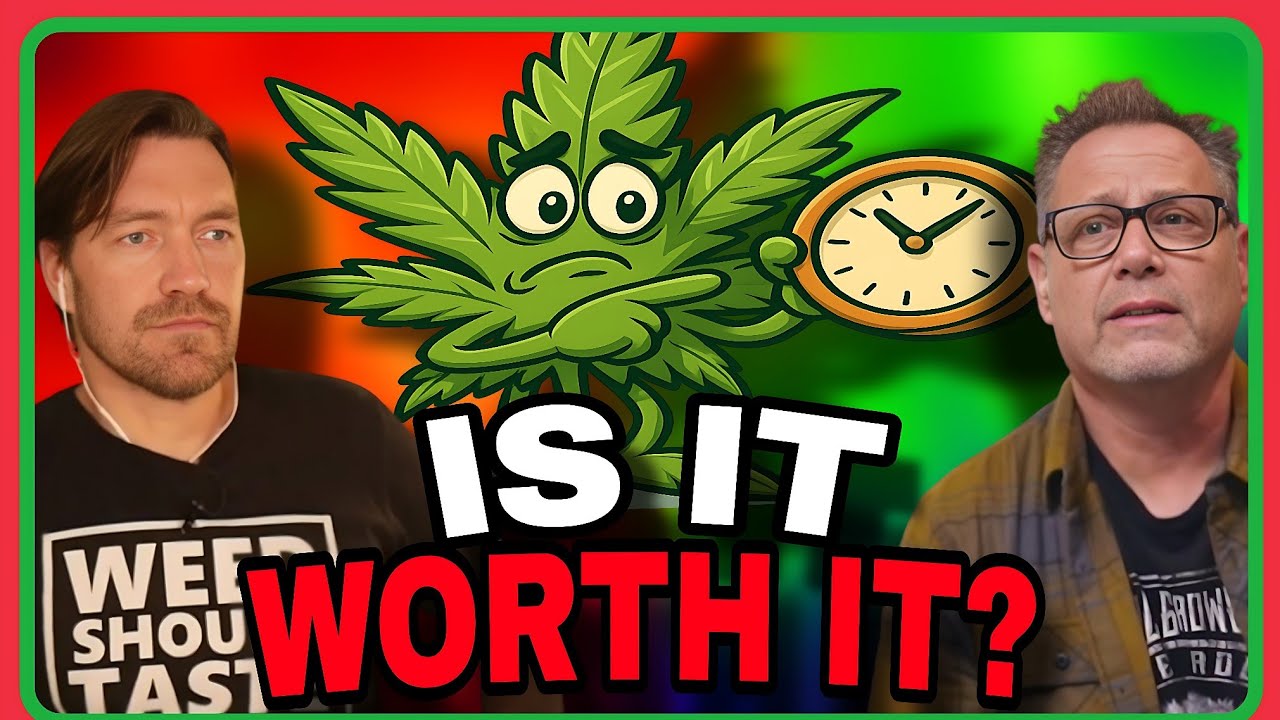 The Truth About Growing Cannabis Autoflowers: What Growers Need to Know