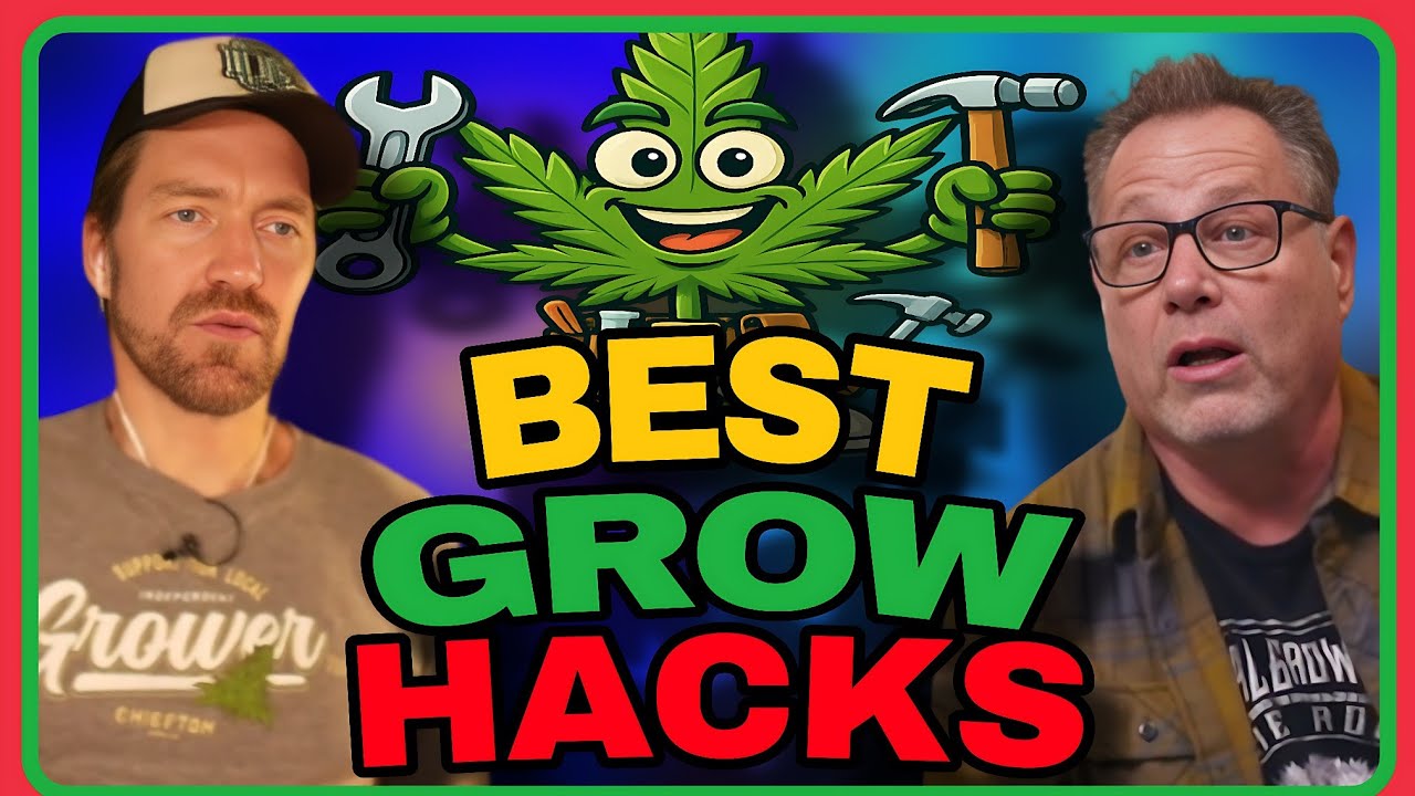 Quick Fixes, Big Results: Cannabis Grow Hacks That Work!