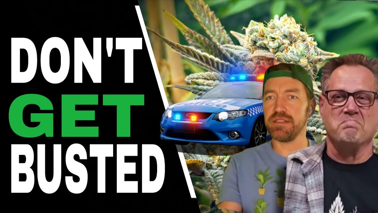 Avoid a Cannabis DUI With THESE Simple Tips