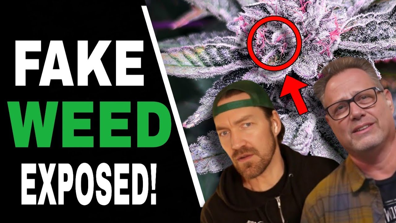 Why California Wants to BAN Hemp THC Products for Good