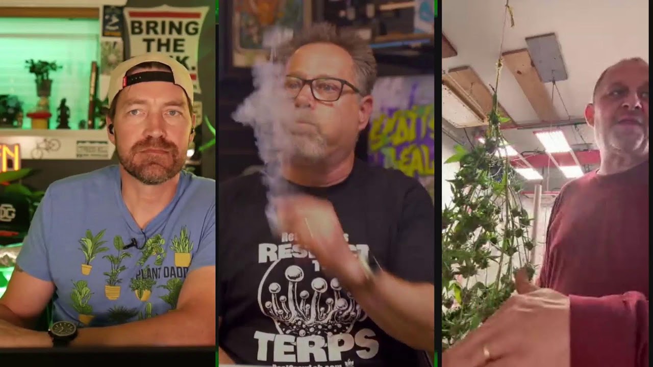 DGC Post Show 6/25/25 Free