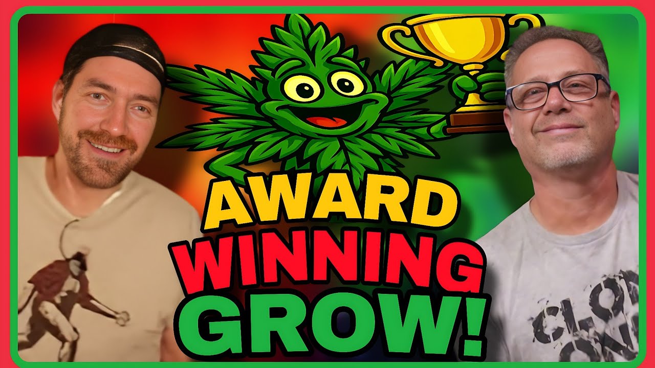 Top Cannabis Growers Do THIS for Award Winning Plants