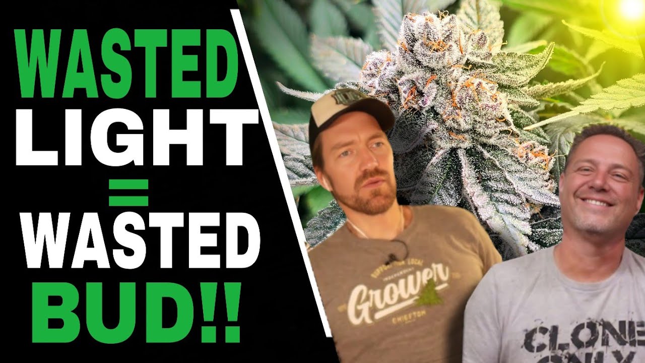 Don’t Waste Your Grow Lights Until You Understand THIS