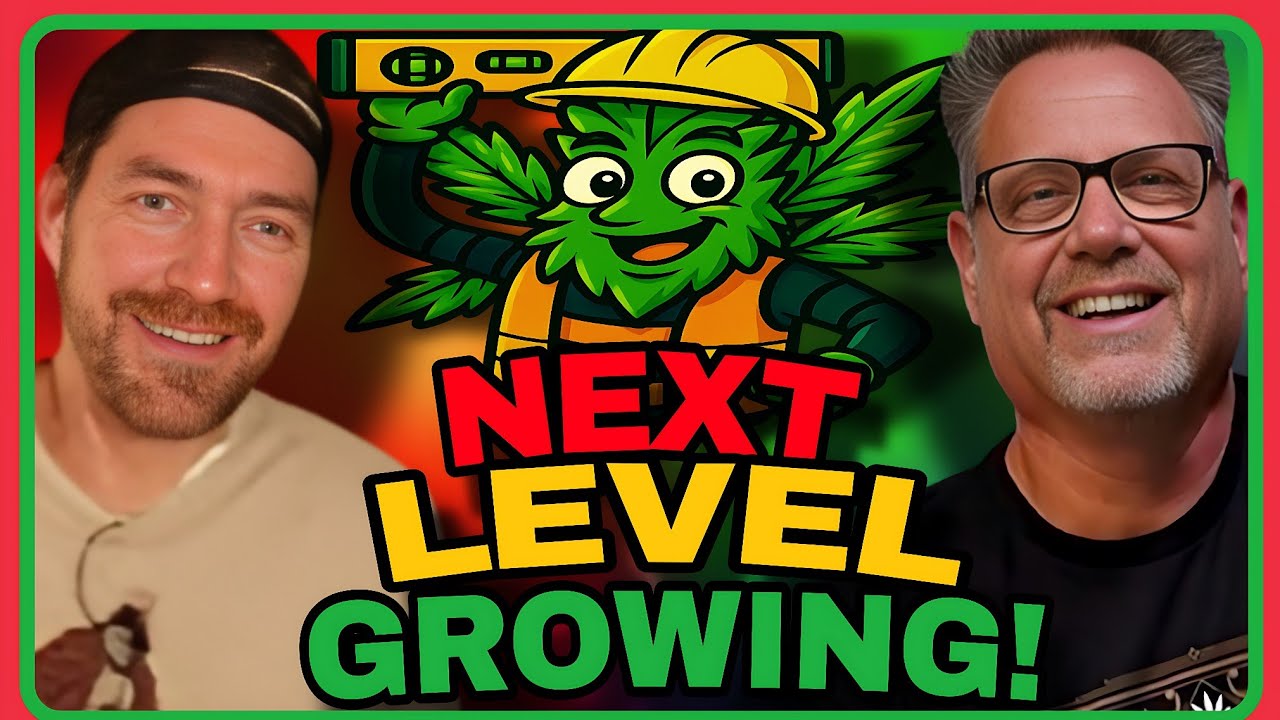 These Advances In Cannabis Show How Far Growing Has Come – And Where It Might Be Going