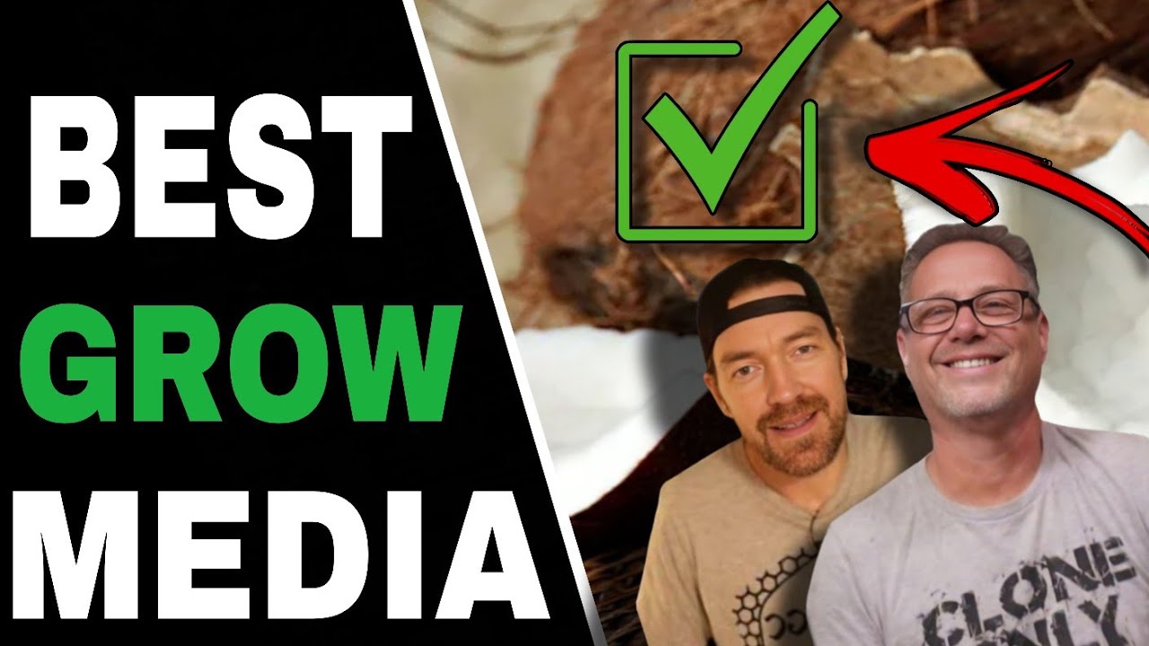 5 Reasons Cannabis Growers Are Switching to Coco – And One Major Warning