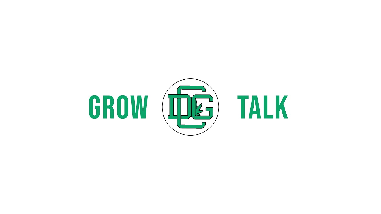 Dude Grows – Grow Talk Live Stream