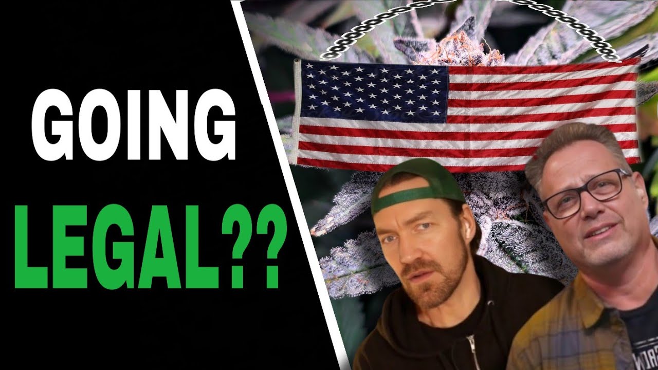 Cannabis Growers are Split on Schedule 3 Reclassification and Here’s Why