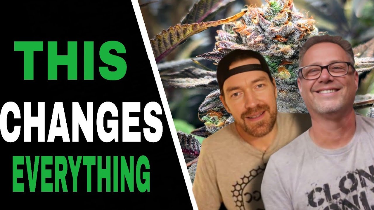 CO₂ Setup Guide: What Most Cannabis Growers Get Wrong