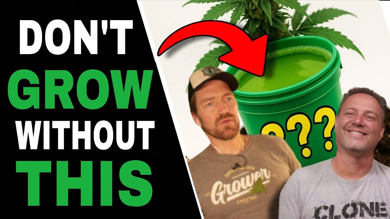 Pro Cannabis Growers Use THESE Soil Microbes for Bigger Buds and Stronger Roots