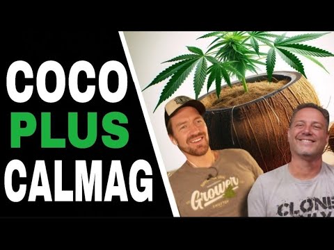 Don’t Add More Cal-Mag to Your Coco Until You Know About THIS