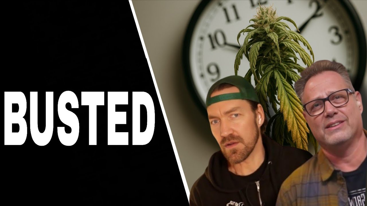 Pro Cannabis Growers Bust 24 Hours Veg Grow Light Myth